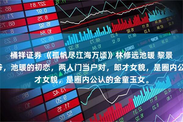 桶祥证券 《孤帆尽江海万顷》林修远池暖 黎景行，黎家大少爷，池暖的初恋，两人门当户对，郎才女貌，是圈内公认的金童玉女。